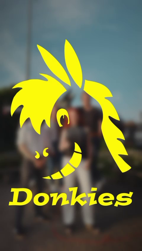 Donkies